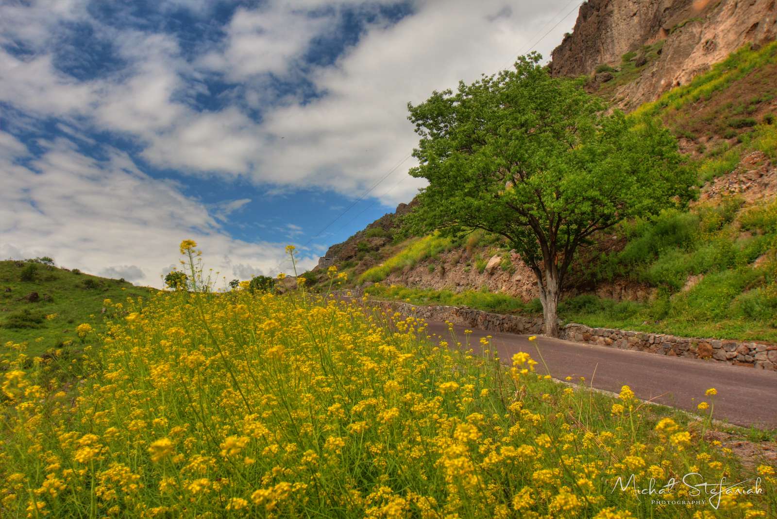 JMG 0889 90 91Enhancer