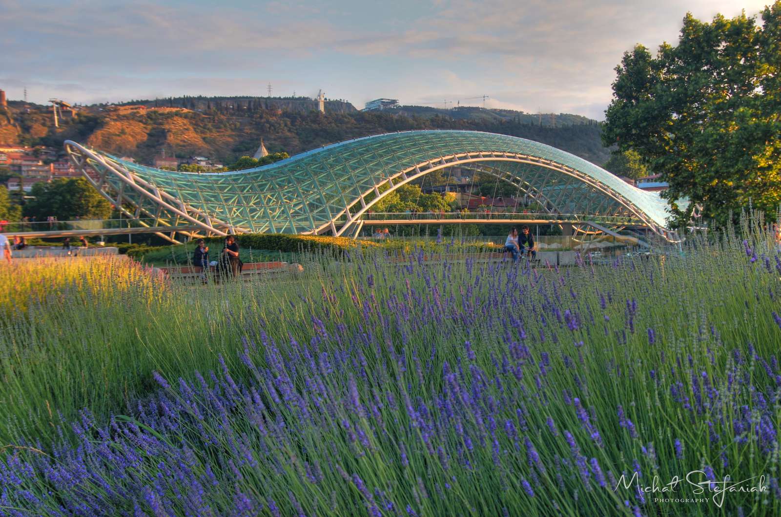 JMG 1461 2 3Enhancer