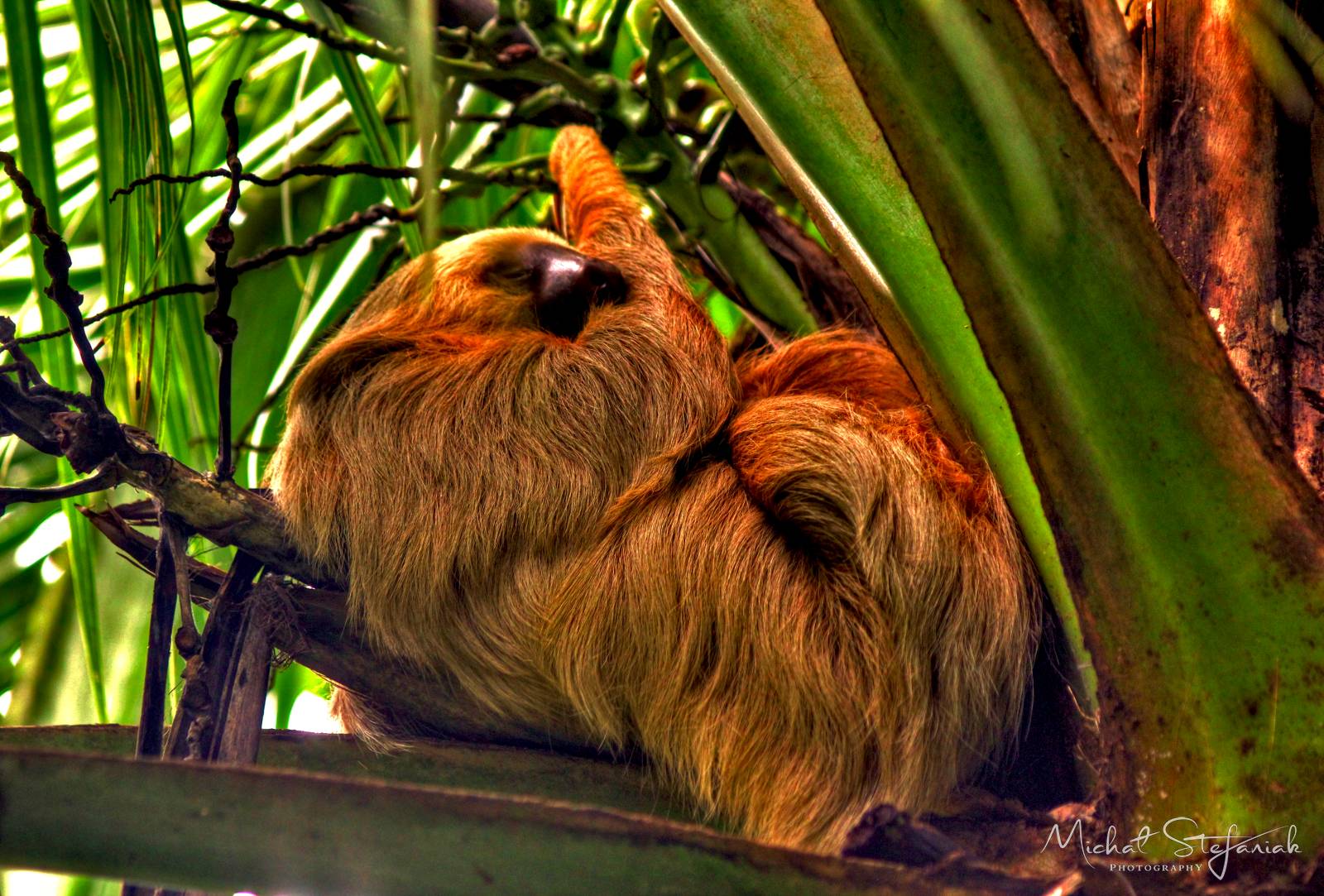 IMG 1494 5 6Enhancer