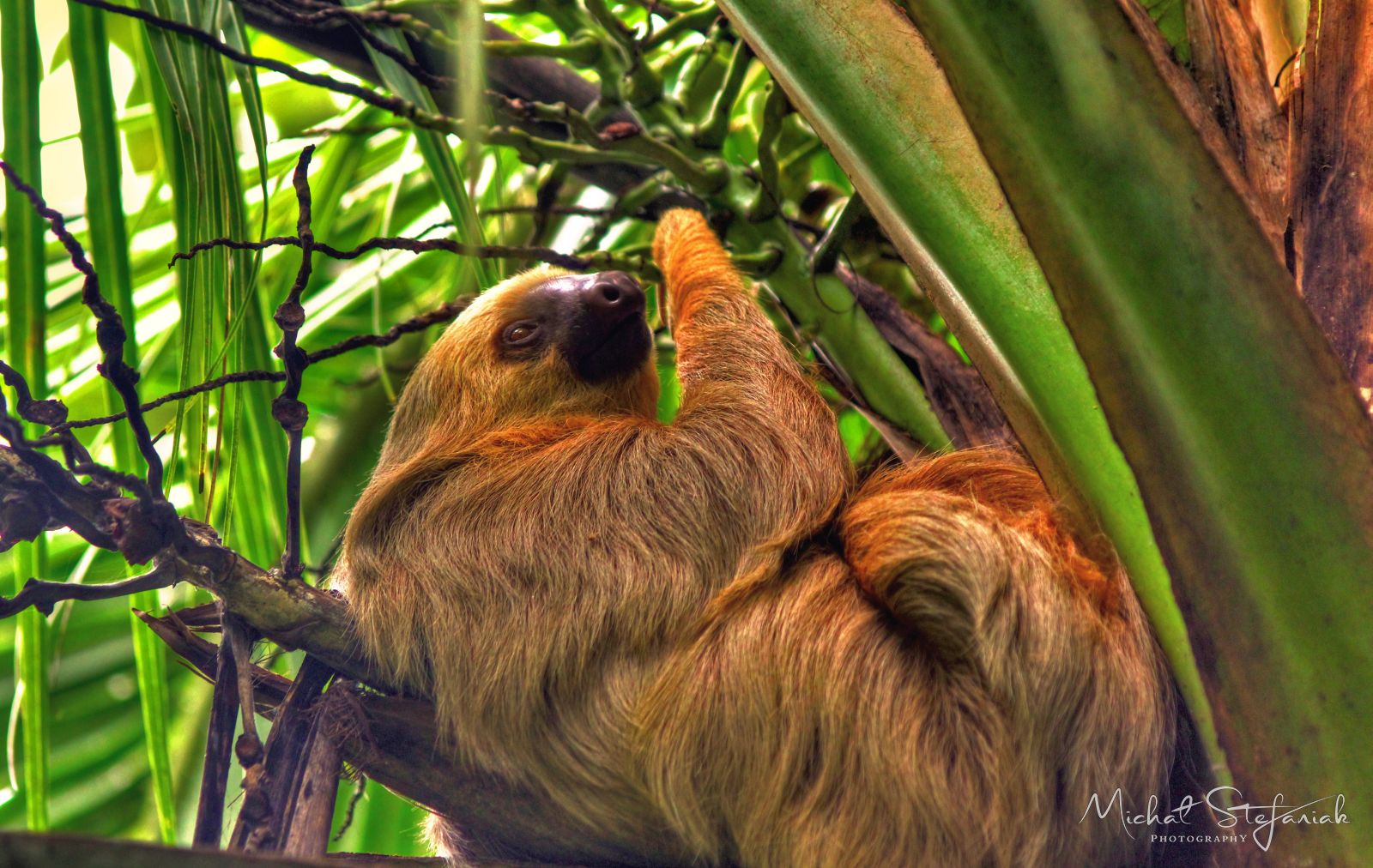 IMG 1506 7 8Enhancer