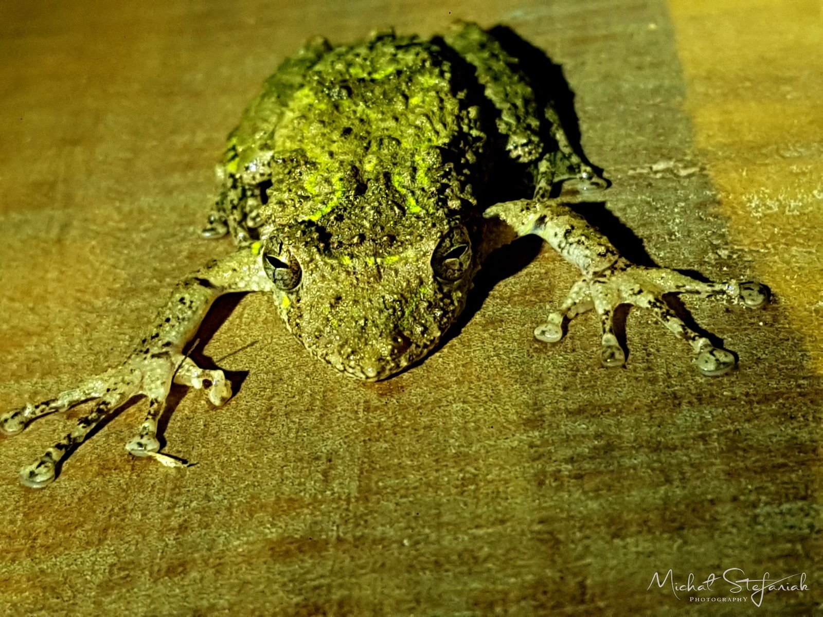 J 20181121 221003 0 0