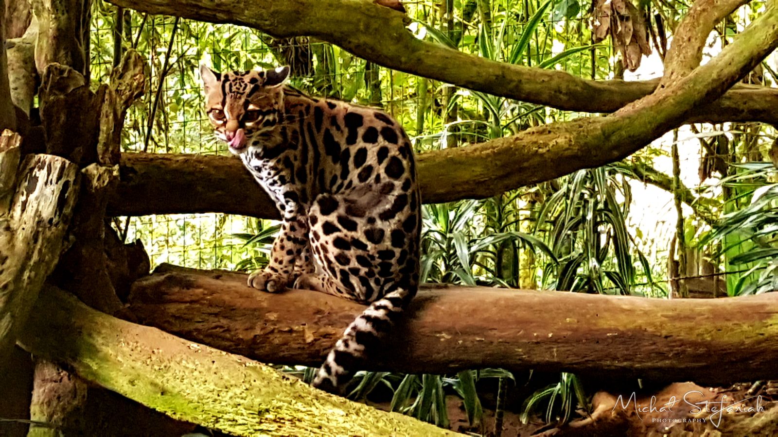 J 20181124 125021(0)