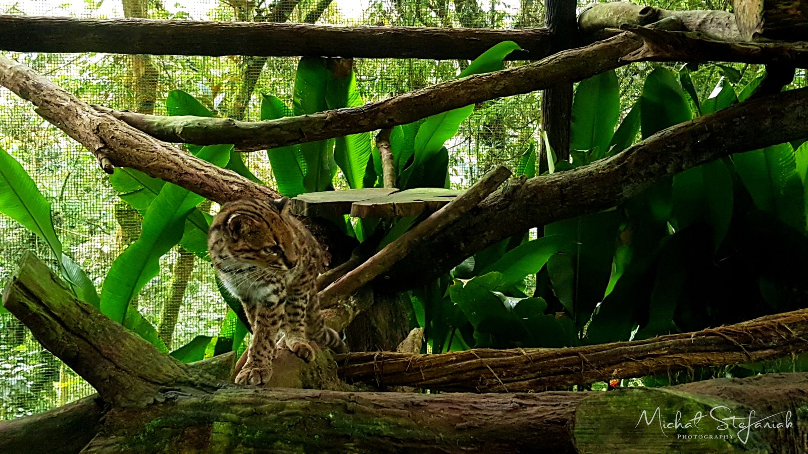 J 20181124 125727(0)