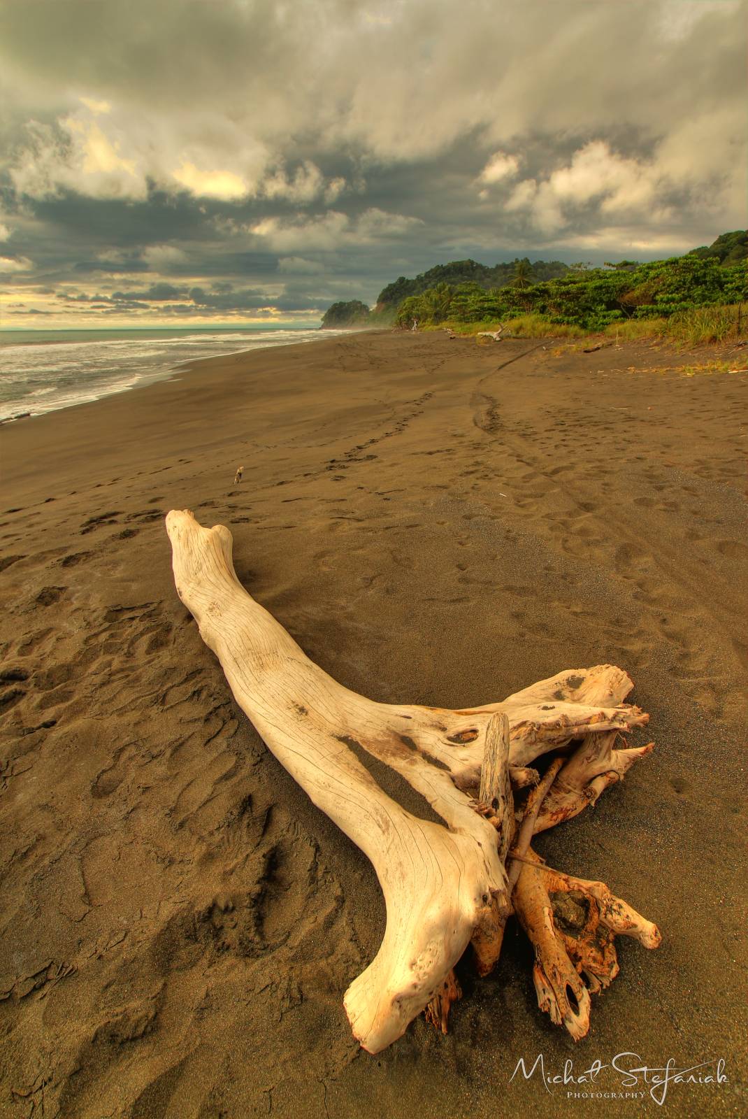 IMG 0706 7 8Enhancer