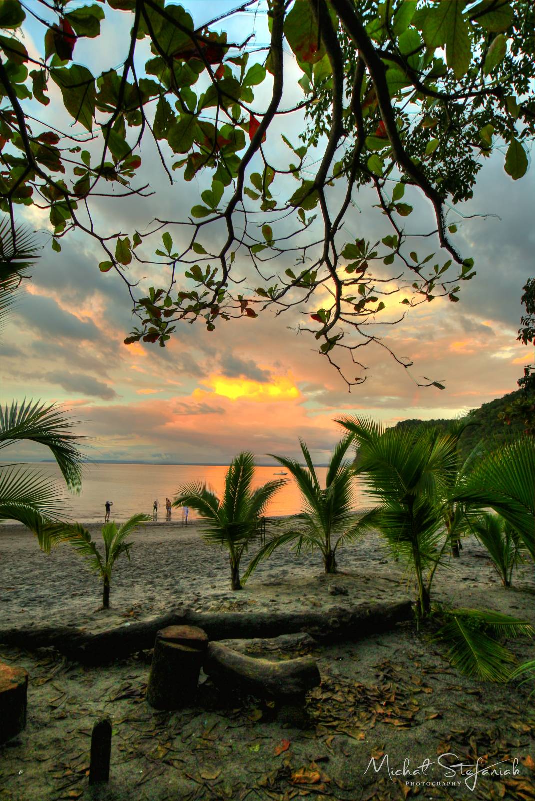 IMG 0748 49 50Enhancer