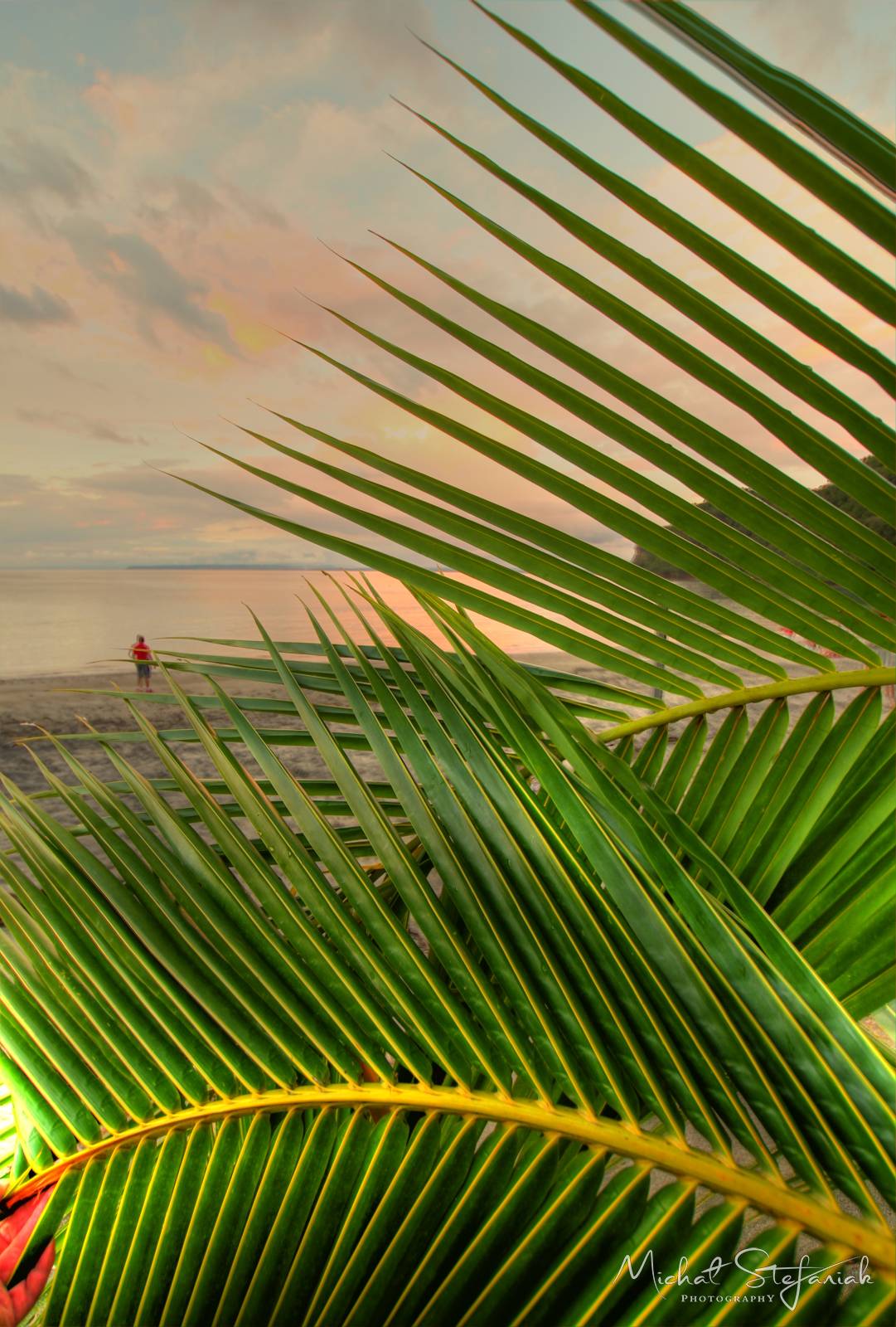 IMG 0754 5 6Enhancer