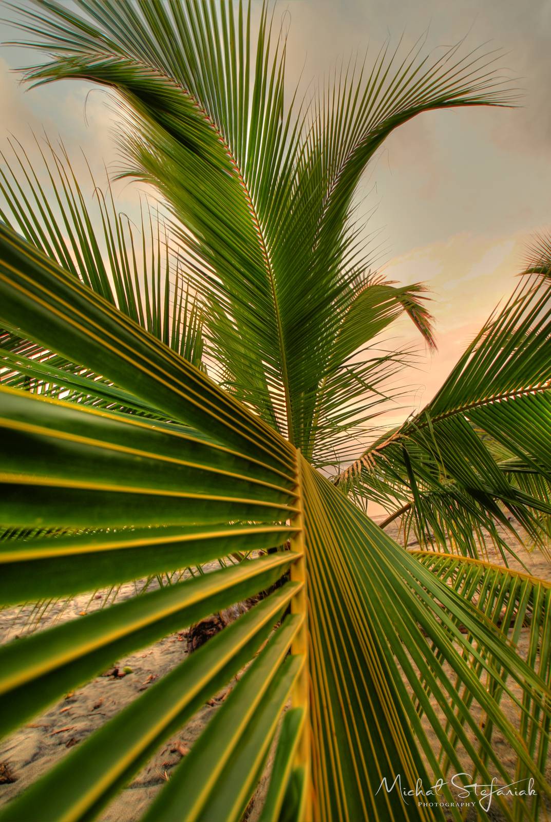 IMG 0760 1 2Enhancer