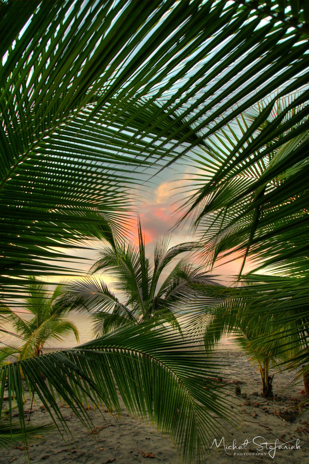 IMG 0775 6 7Enhancer