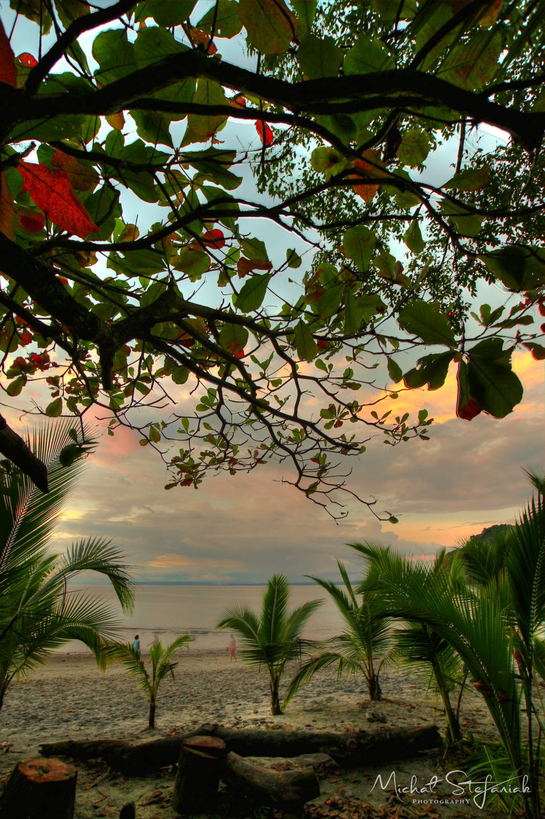 IMG 0784 5 6Enhancer