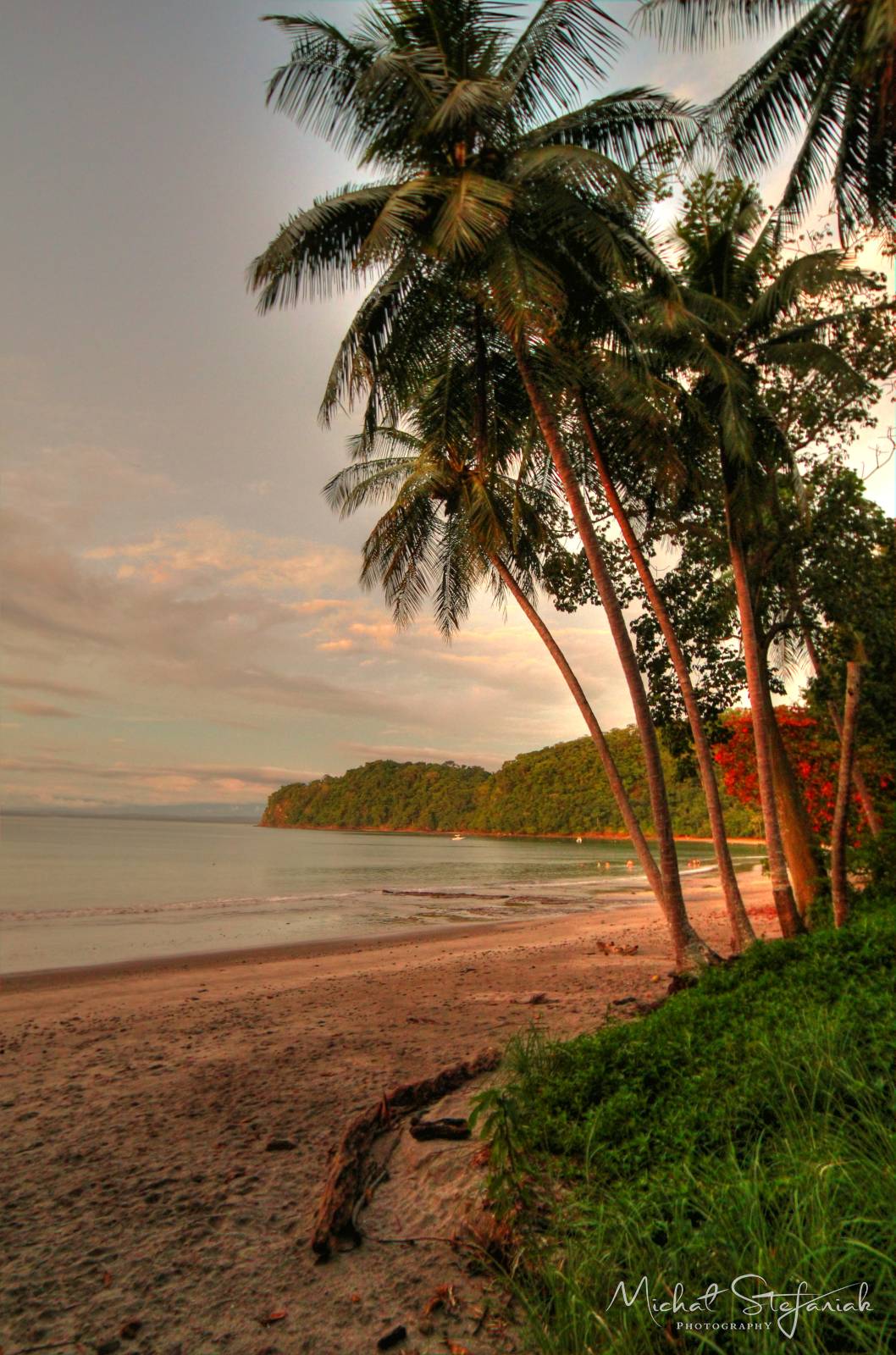 IMG 0845 6 7Enhancer