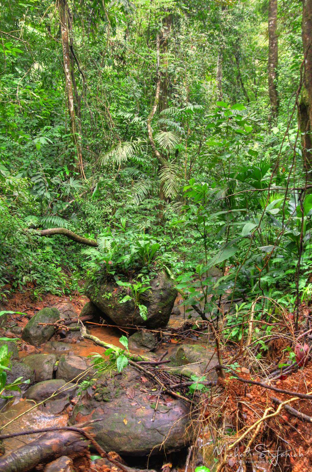 IMG 0430 1 2Enhancer