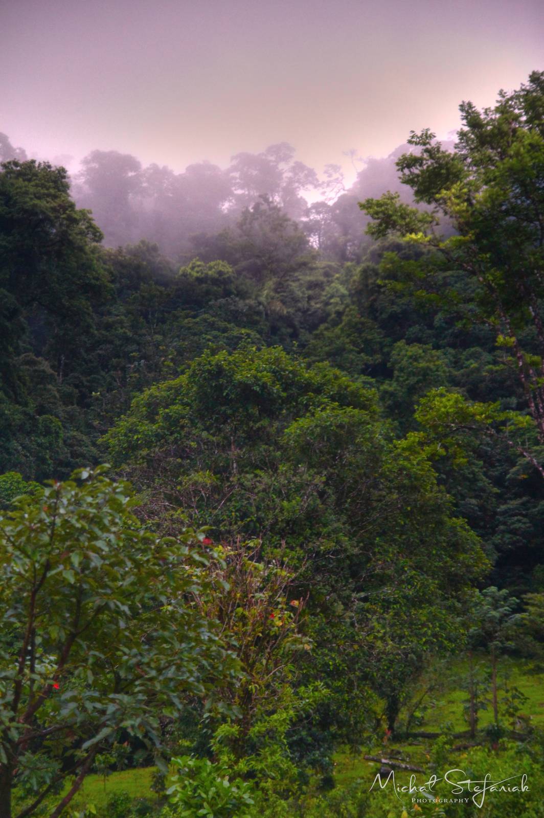 IMG 0998 0999 1000Enhancer