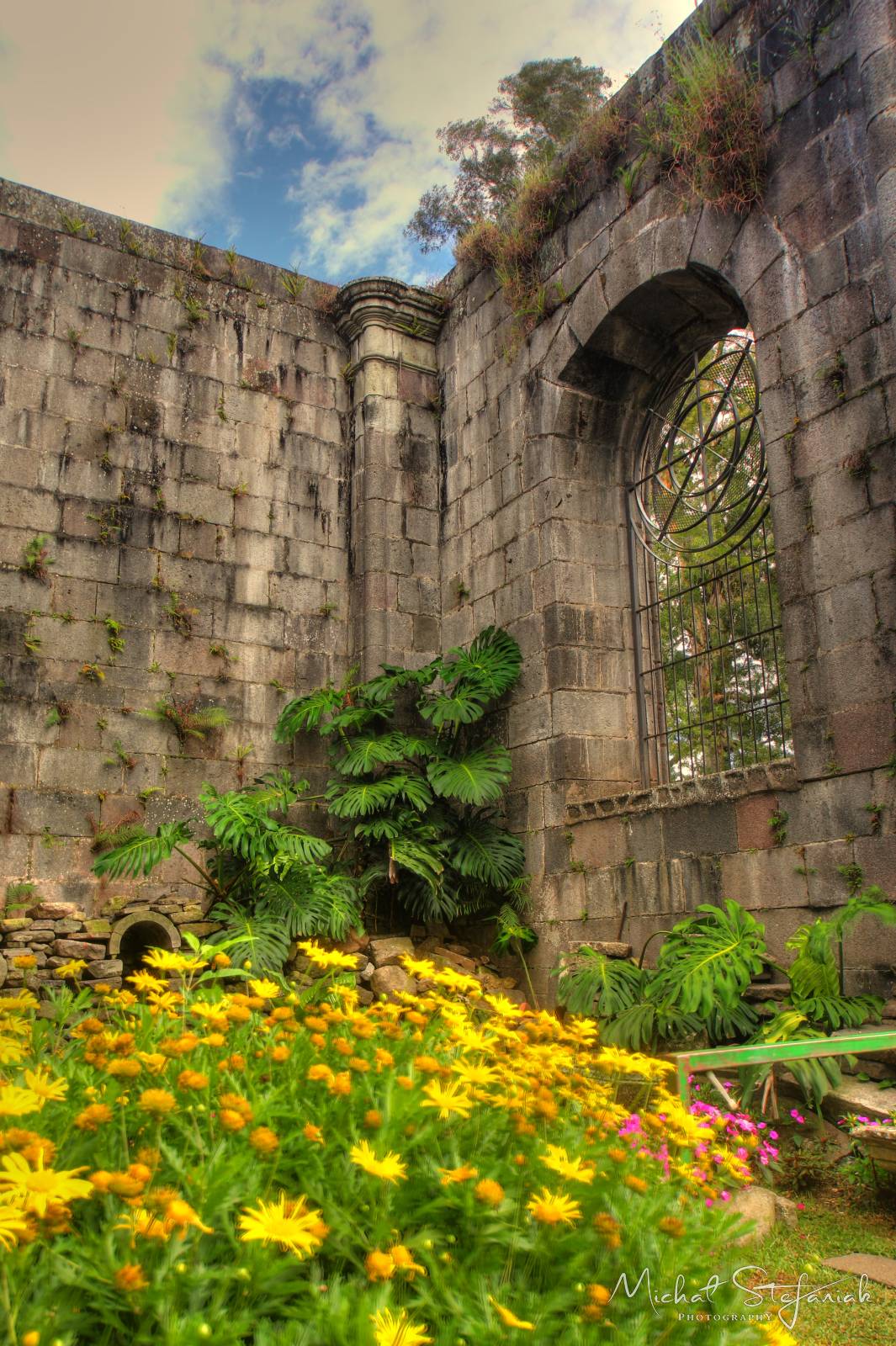 IMG 0043 4 5Enhancer