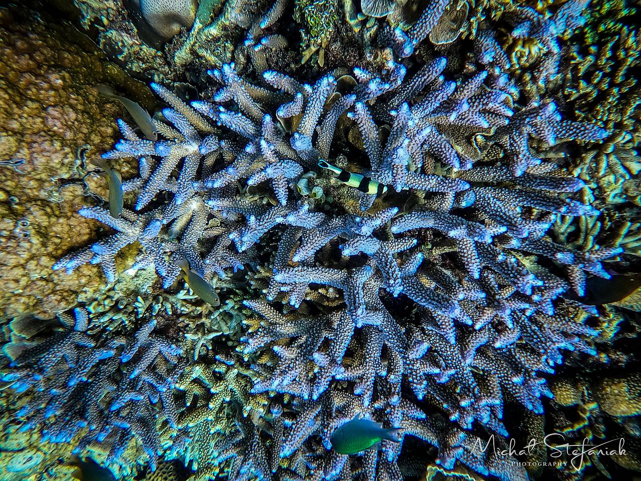 GOPR1473 1699938603997