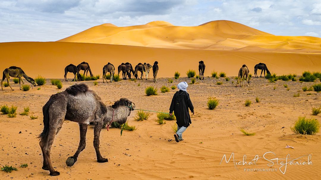 20250219 135434(0) 326