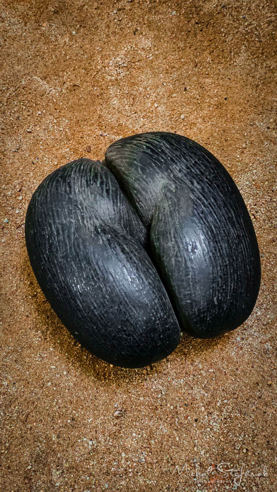 20260311 090830