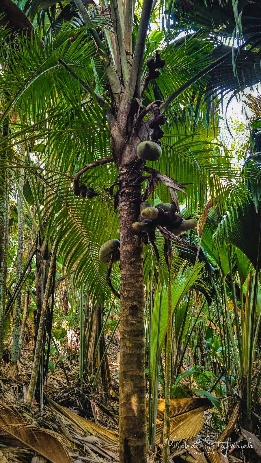 20260311 091656 hdr